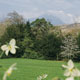 Kilmichael Country house Hotel testimonials