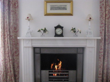 Bluebird Cottage - The fireplace - larger image