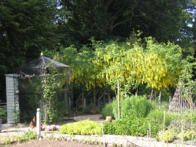 The Gardens -  - larger image