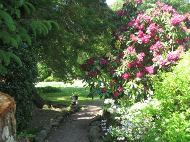 The Gardens -  - larger image